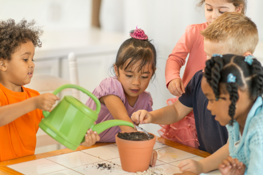 Preschool children watering a potted plant together at a table 